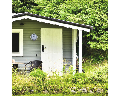 Abri de jardin avec horloge, porte, fenêtre et végétation