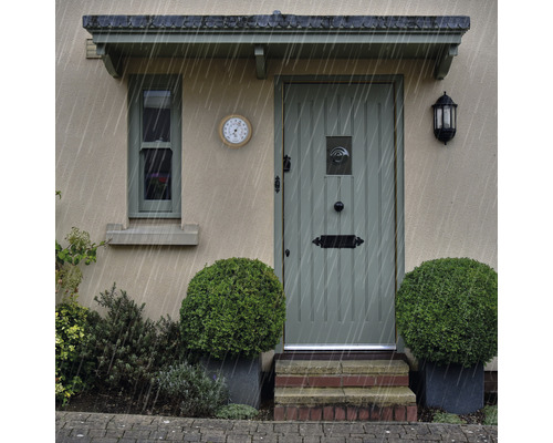 Façade d''une maison avec porte, fenêtre, thermomètre et plantes sous la pluie