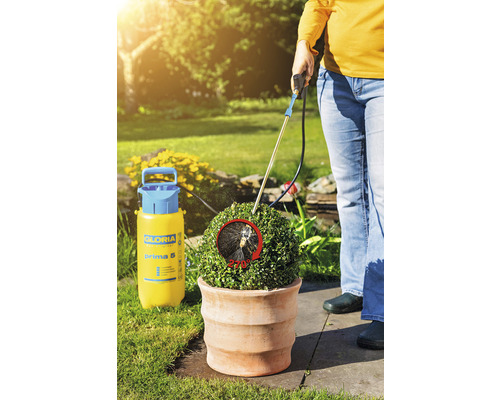 Gartenszene mit Gloria Prima 5 Drucksprüher beim Besprühen einer Pflanze im Topf.
