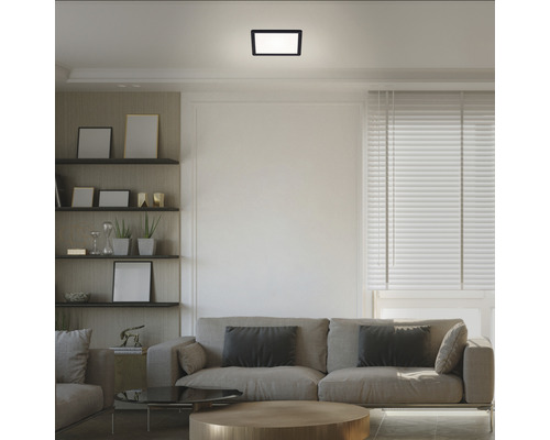 Wohnzimmer mit Sofa, Regalen und einer rechteckigen Deckenleuchte