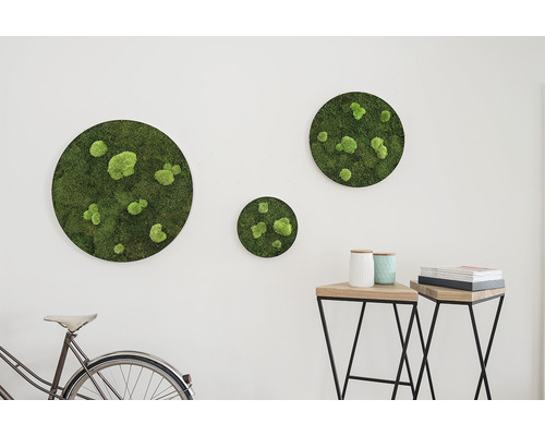 Dekorative Moosbilder in verschiedenen Größen an einer Wand, ein Fahrrad und Beistelltische im Raum.