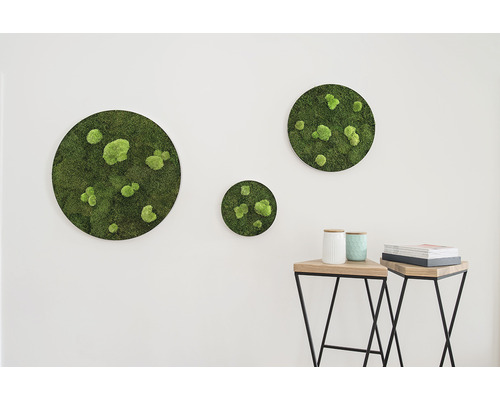 Wanddekoration mit Moos in drei verschiedenen Größen über zwei Beistelltischen.