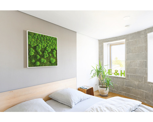 Schlafzimmer mit Moosbild an der Wand, Bett und Topfpflanze am Fenster