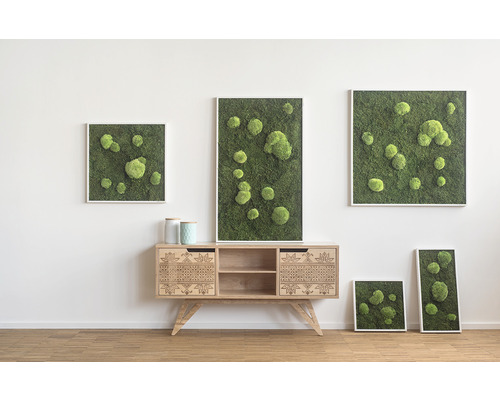 Wohnraum mit Moosbildern in Rahmen und Holzkommode mit Muster