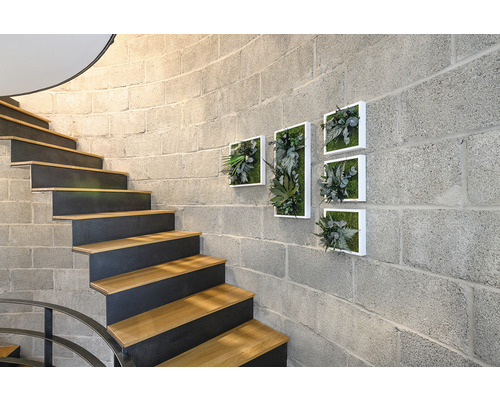 Treppe mit Holzstufen und Wanddekoration mit Pflanzenbildern