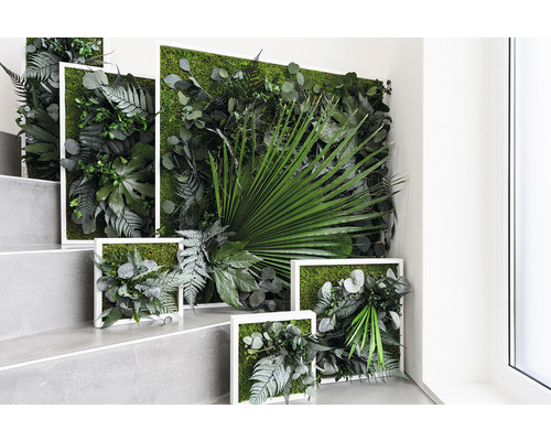 Dekorative Moosbilder mit Pflanzen in weißen Rahmen an einer Treppe