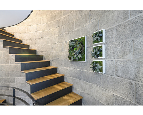 Treppe mit Holzstufen und Wanddekoration mit Pflanzenbildern