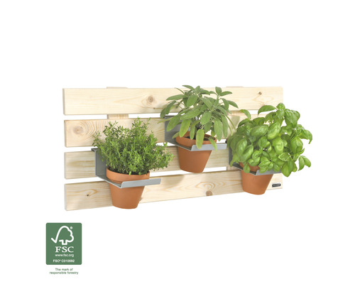Palette en bois avec trois pots d''herbes aromatiques sur un support mural