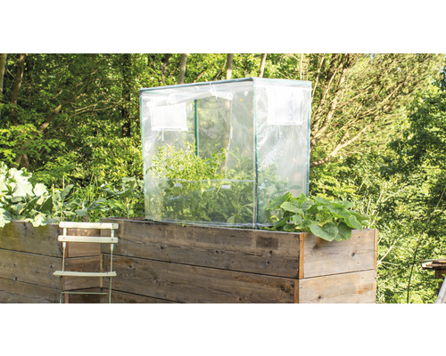 Hochbeet mit Frühbeetaufsatz und Pflanzen