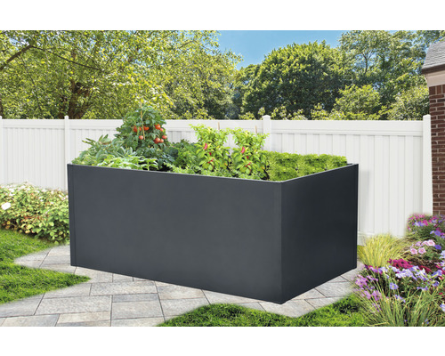 Hochbeet mit Gemüse im Garten