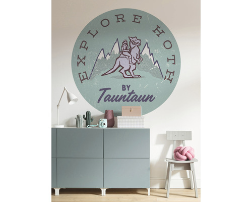 Décoration murale avec un motif de la saga Star Wars dans une chambre d''enfant.