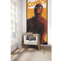 Fototapete Vlies IADX2-070 Into Adventure Spider-Man Comic 2-tlg. 100 x 250 cm
