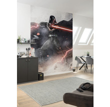 Fototapete Vlies IADX4-025 Into Adventure Star Wars Vader Dark Forces 4-tlg. 200 x 280 cm