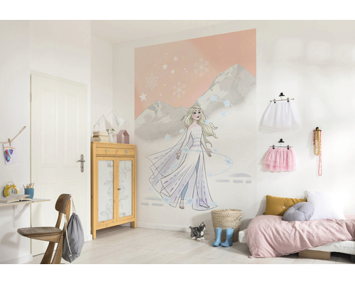 Chambre de fille avec un papier peint photo sur le thème du film La Reine des neiges