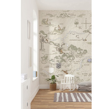 Fototapete Vlies IADX4-042 Into Adventure Winnie Pooh Map 4-tlg. 200 x 240 cm