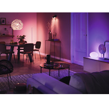 Ampoule Philips hue White & Color Ambiance A60 à intensité lumineuse  variable mat 2x E27/9W(75W) 1100 lm RGBW 2000K-6500 K 2 pièces - Compatible  avec SMART HOME by hornbach - HORNBACH