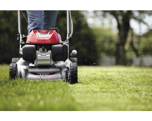 Rasenmäher beim Rasenmähen