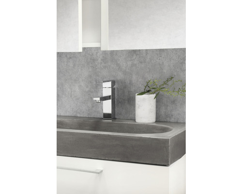 Salle de bains moderne avec lavabo en béton, robinetterie et décoration