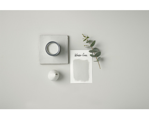 Ein Farbbeispiel Wintergrau, ein Farbtopf, eine Dekofrucht und ein Eukalyptuszweig