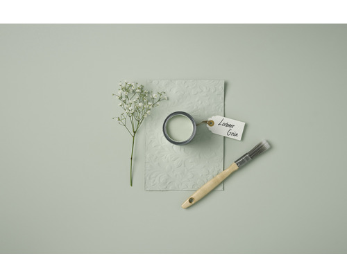 Pot de peinture, échantillon de couleur, pinceau et gypsophile sur fond uni