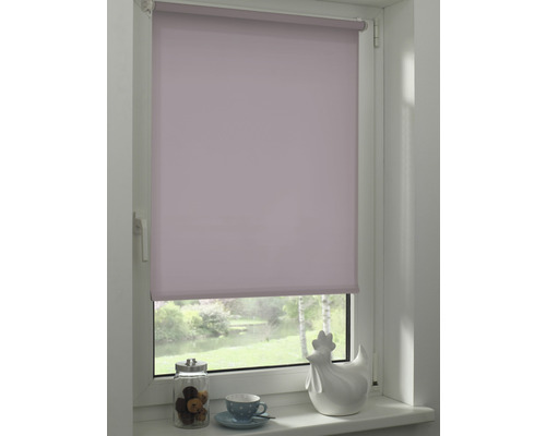 Fenêtre avec store enrouleur