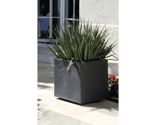 Quadratischer Pflanzkasten mit Bepflanzung im Außenbereich