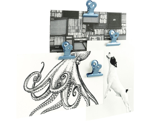 Des pinces métalliques fixent des images à un mur