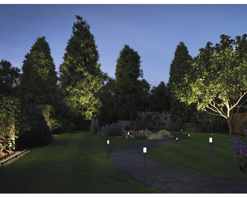 Beleuchteter Garten mit Weg und Bäumen bei Nacht