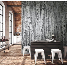 Fototapete Vlies 38259-1 The Wall Birkenwald im Schnee 7-tlg. 371 x 280 cm