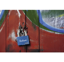 Cadenas Abus sur porte en bois peinte