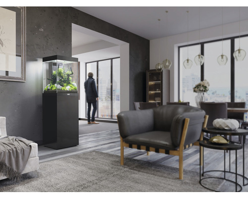 Salon avec aquarium sur une armoire noire