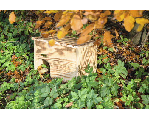 Maison à hérissons en bois dans le jardin