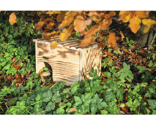 Maison à hérissons en bois dans le jardin