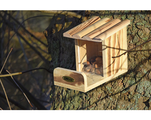 Mangeoire en bois avec nourriture