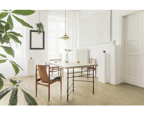 Heller Essbereich mit Holzboden, Esstisch, Stühlen und Dekoration