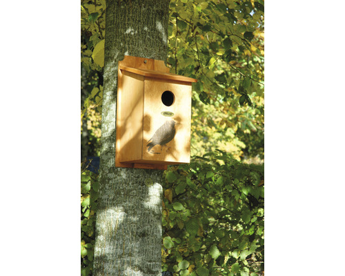 Nichoir en bois fixé sur un tronc d''arbre