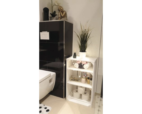 Salle de bain avec toilettes et étagère de rangement blanche en caisses de bois
