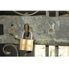 Cadenas Abus 55/30 laiton 30 mm à fermeture identique