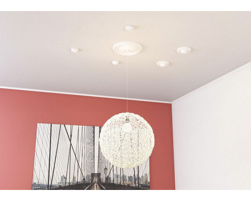 Plafond avec moulures décoratives, plafonnier et rosaces