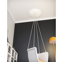 Intérieur avec rosette en stuc, moulure et fauteuil suspendu
