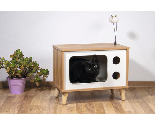 Katze in einem Katzenhaus in Form eines Fernsehers mit Spielzeug