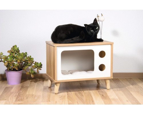 Schwarze Katze auf Katzenmöbel im Retro-Design