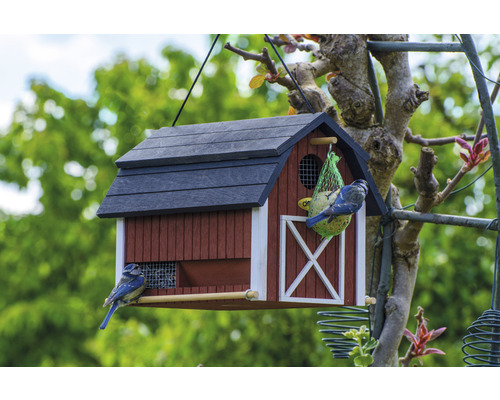 Hängendes Vogelhaus im Garten mit zwei Vögeln