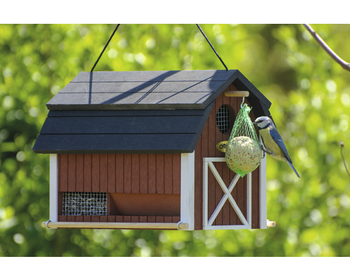 Vogelhaus mit Futterstation und Blaumeise