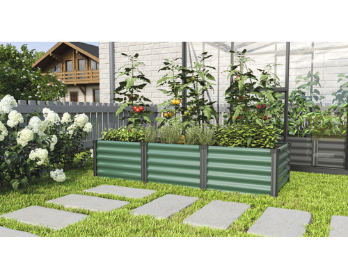 Jardinière surélevée classique Vitavia Linus In&Out 401 S 65 x 185 x 40,1 cm jonc de mer-noir Jardinière surélevée en métal avec des plants de tomates et des herbes aromatiques dans le jardin