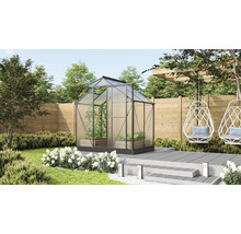 Gewächshaus im Garten mit Pflanzen und Sitzgelegenheiten.