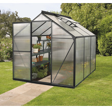 Serre avec porte ouverte et étagères pour plantes sur pelouse