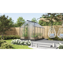 Gewächshaus im Garten mit Pflanzen in Pflanzkästen