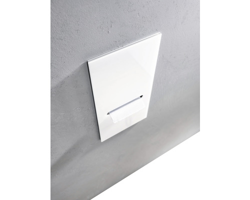 Distributeur de papier toilette en plastique pour montage mural