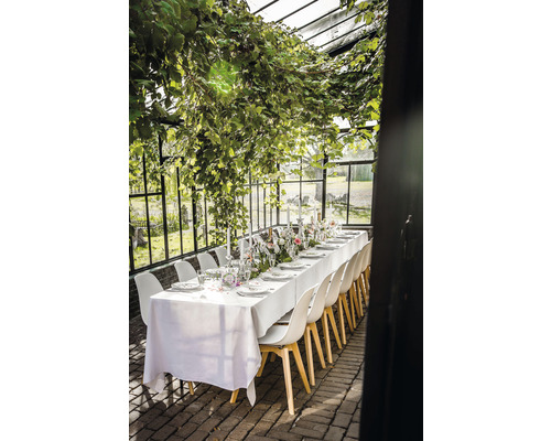 Décoration de table dans une serre avec plantes, vaisselle, bougies et chaises